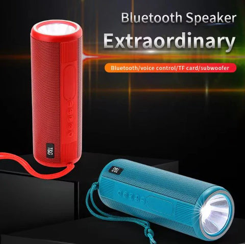 TWS Portable Bluetooth Speaker